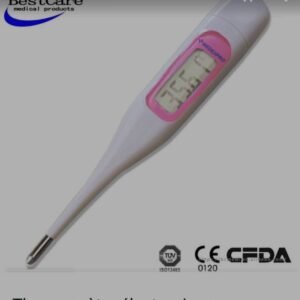 Thermomètre Électronique