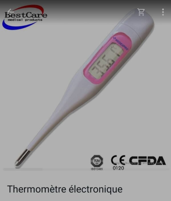 Thermomètre Électronique